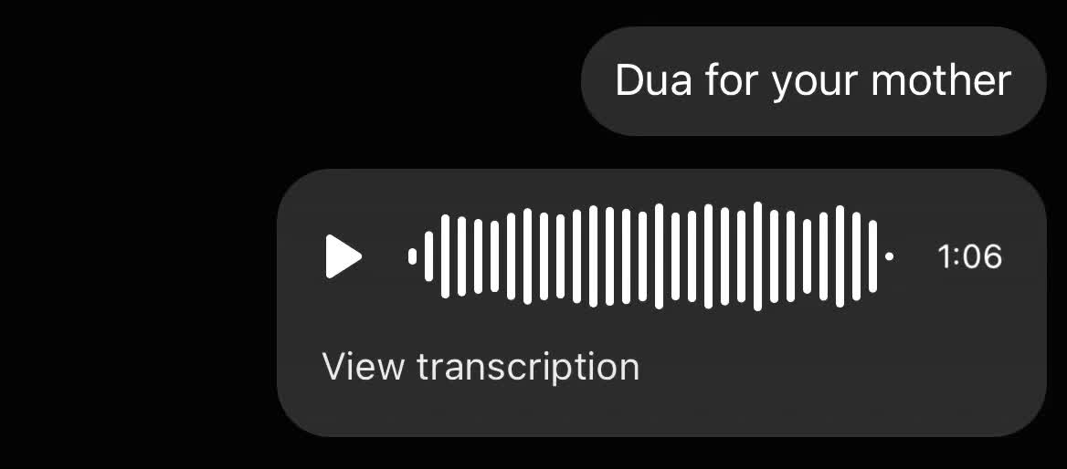@dxb.mush