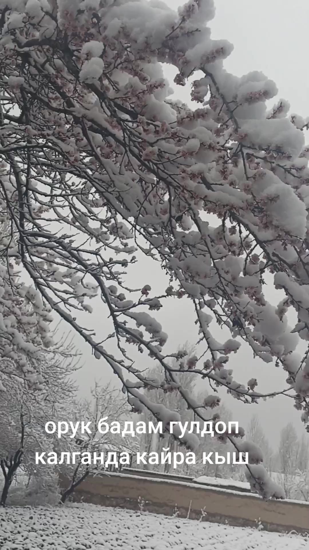 @Балтагулова