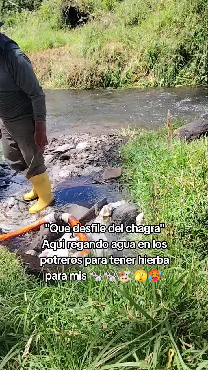 @flakitacr