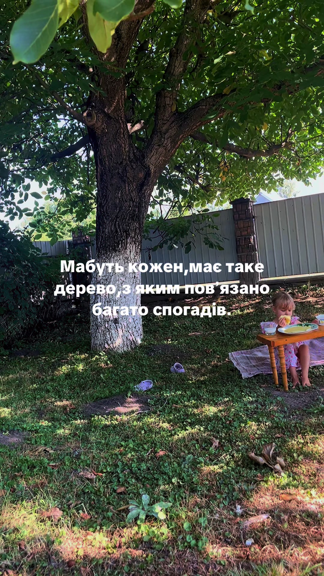 @WiktoriaIvasiv