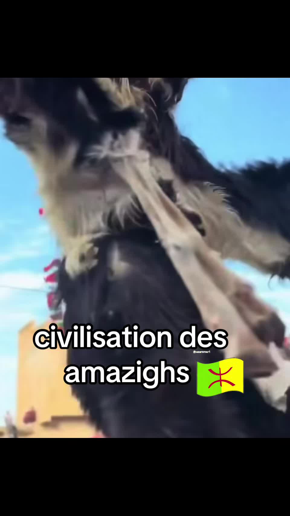 @Justicière