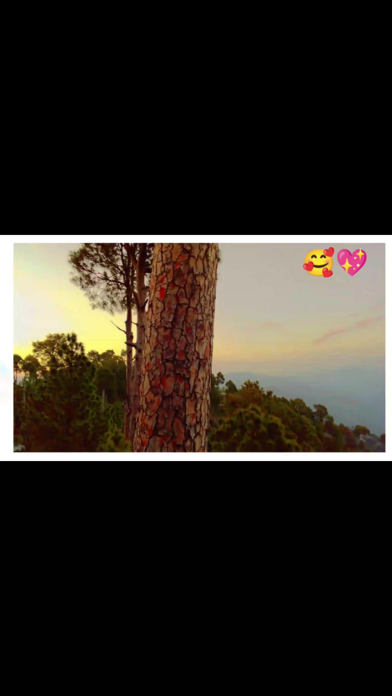 @صیام ستی