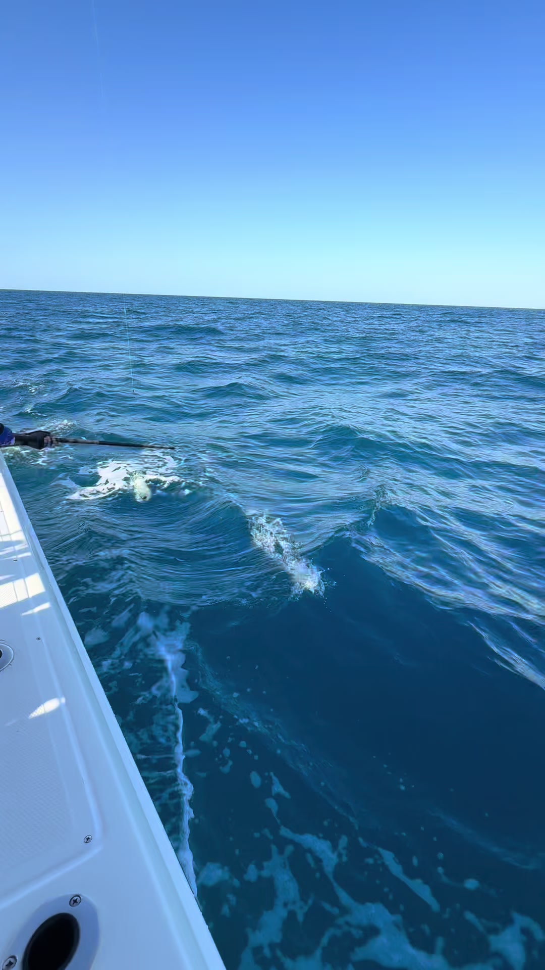 @Trigger Rich Fishing Charters