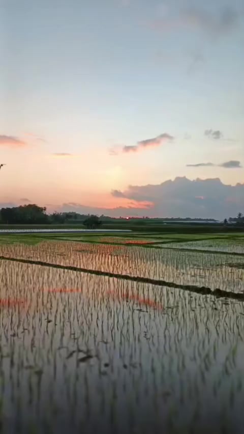 @MUuuTtZzz