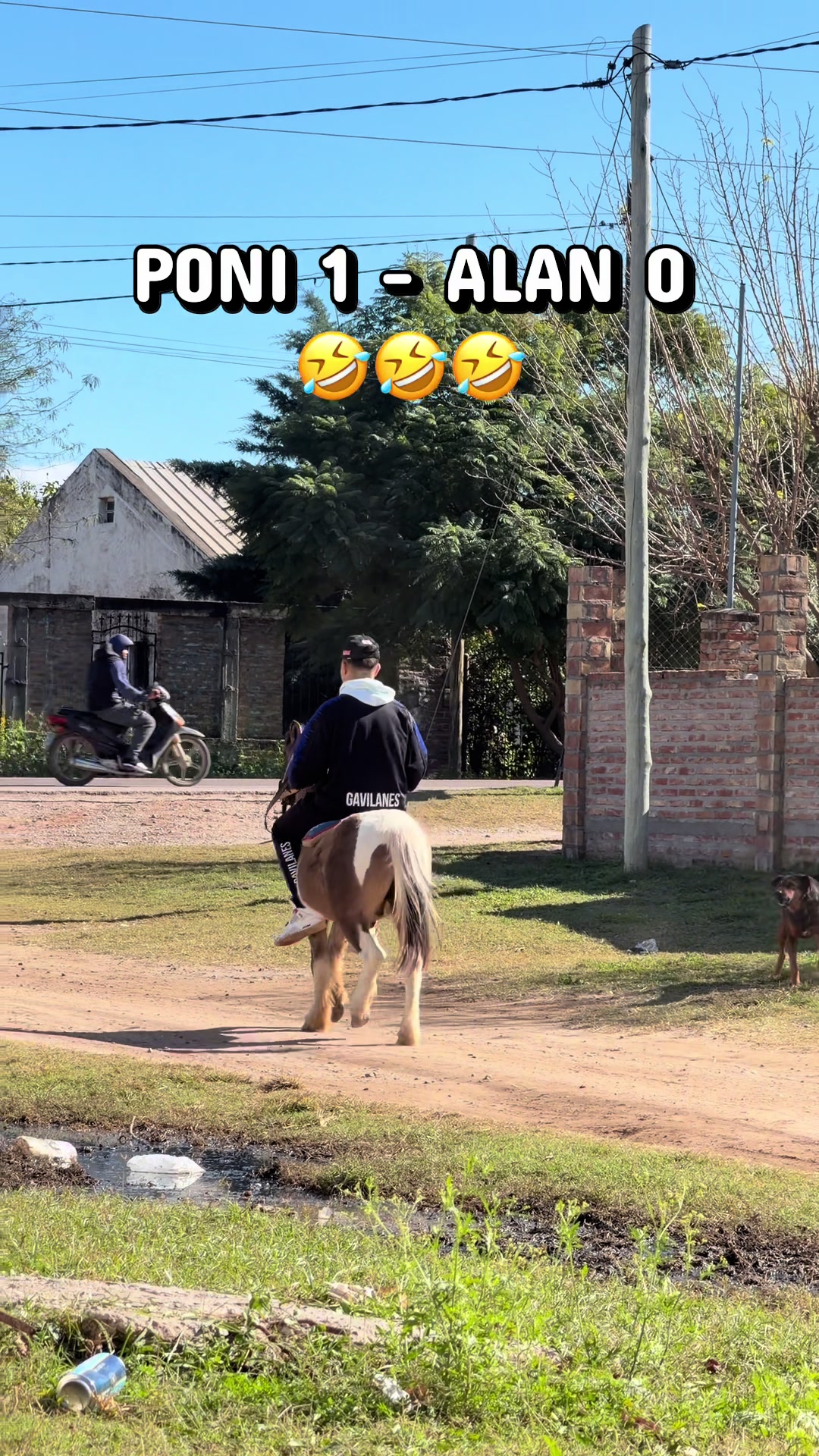 @el_pana_trh