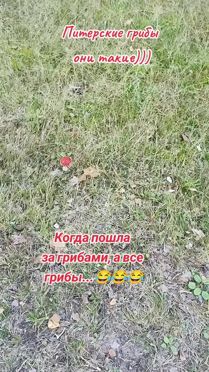 @user2278096979685