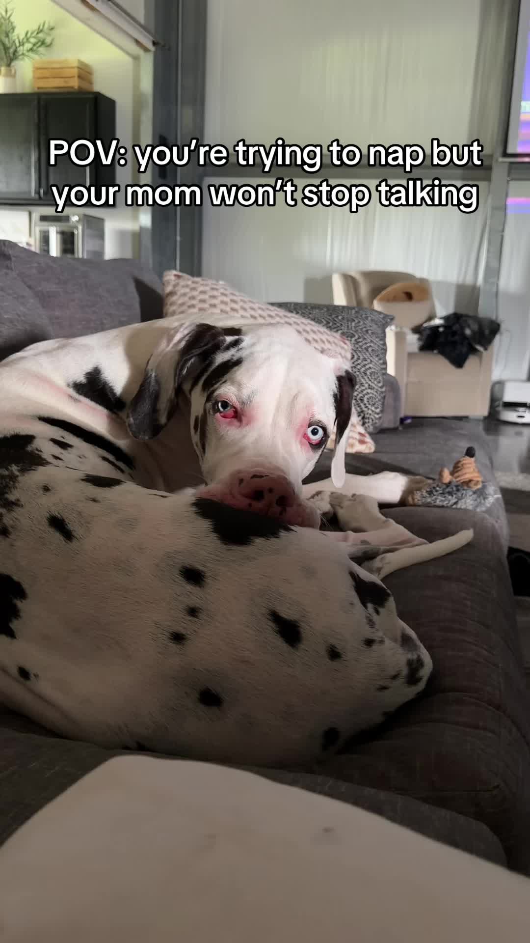 @stonethedane