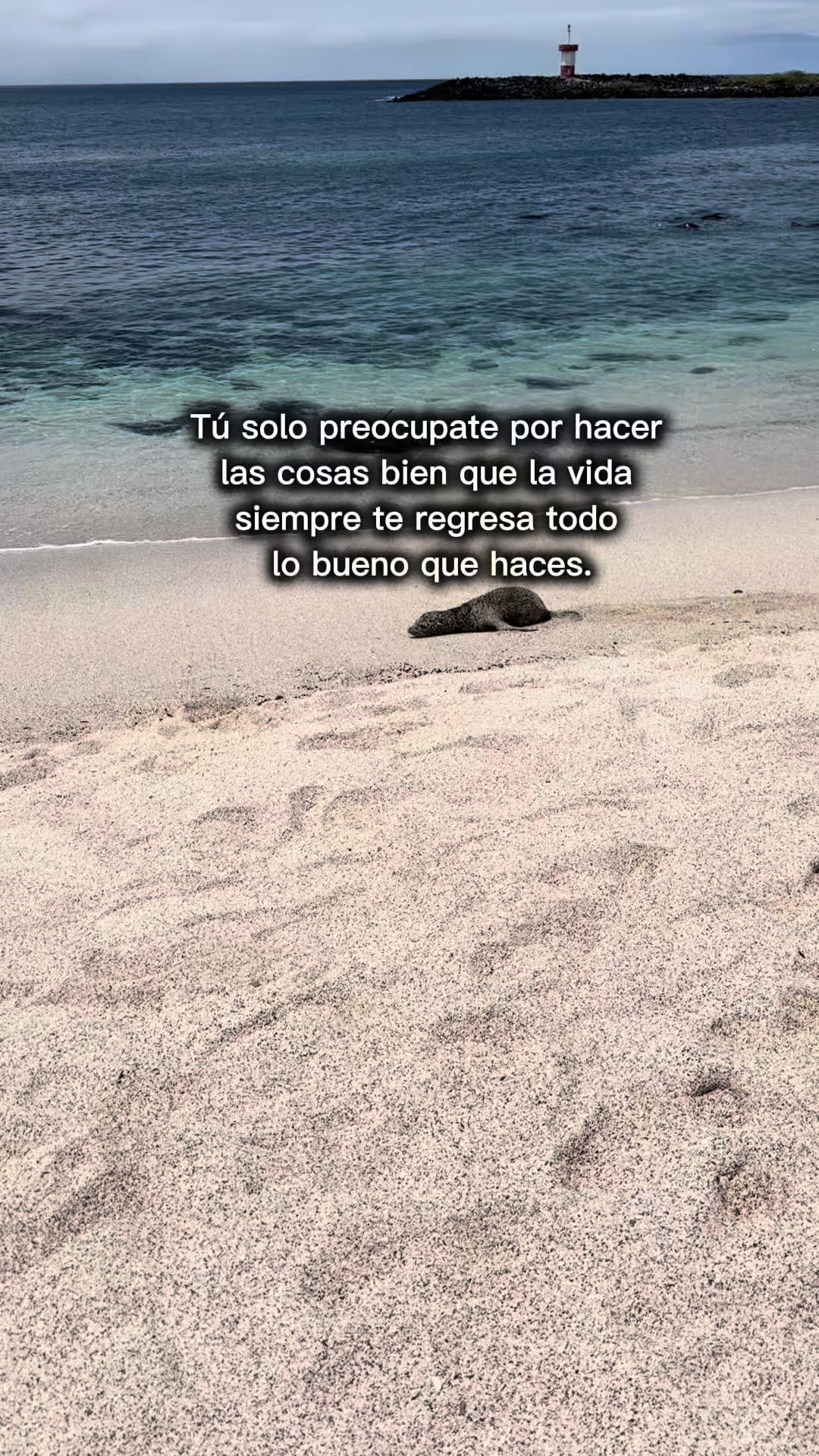 @Lucy Jara Zea