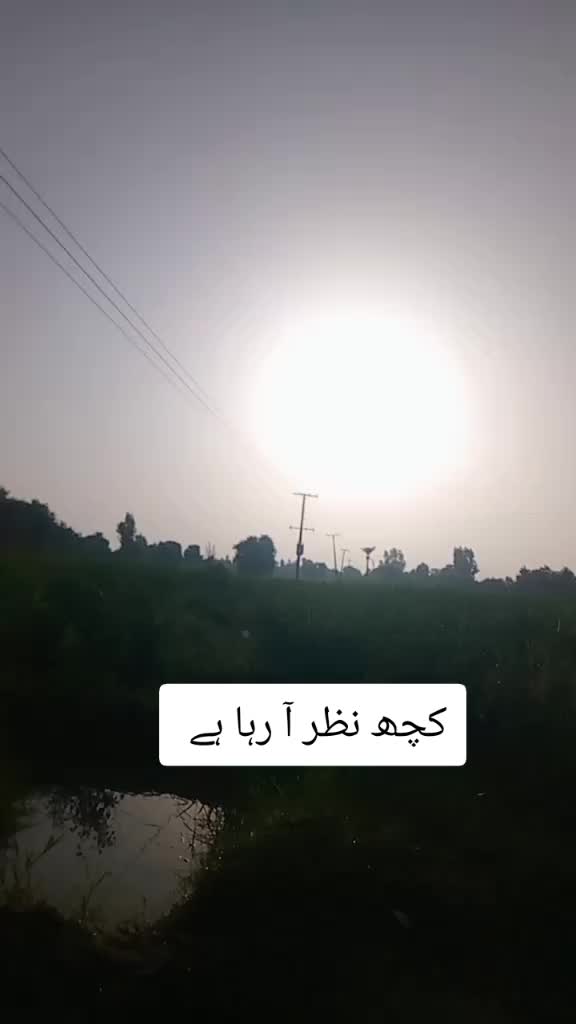 @zulfi khan