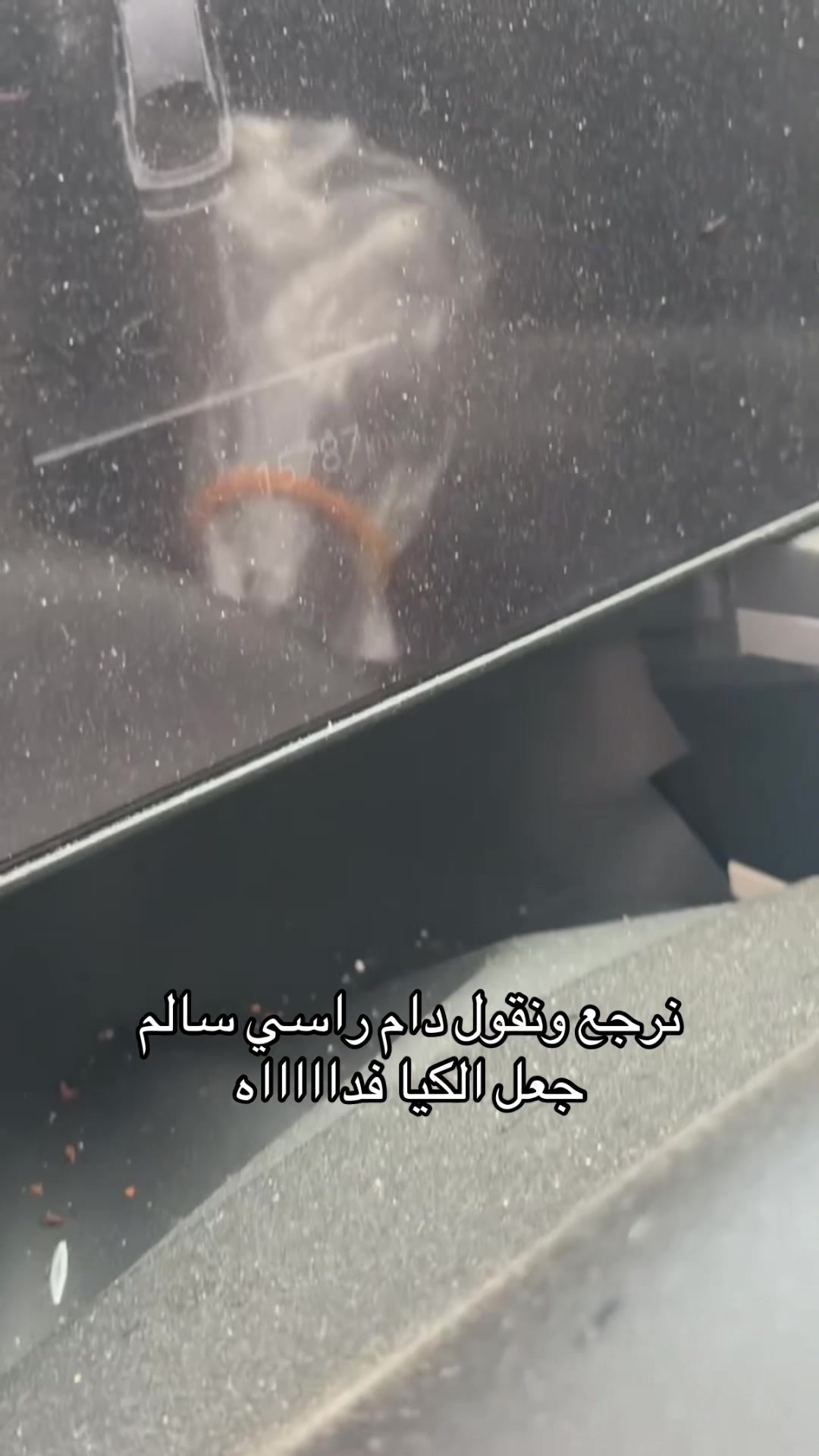 @F9