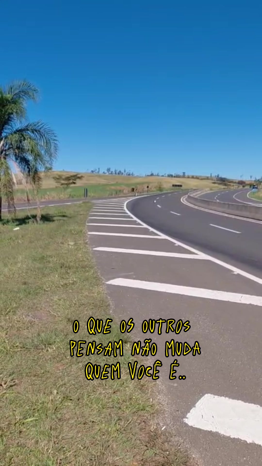@Camila Costa