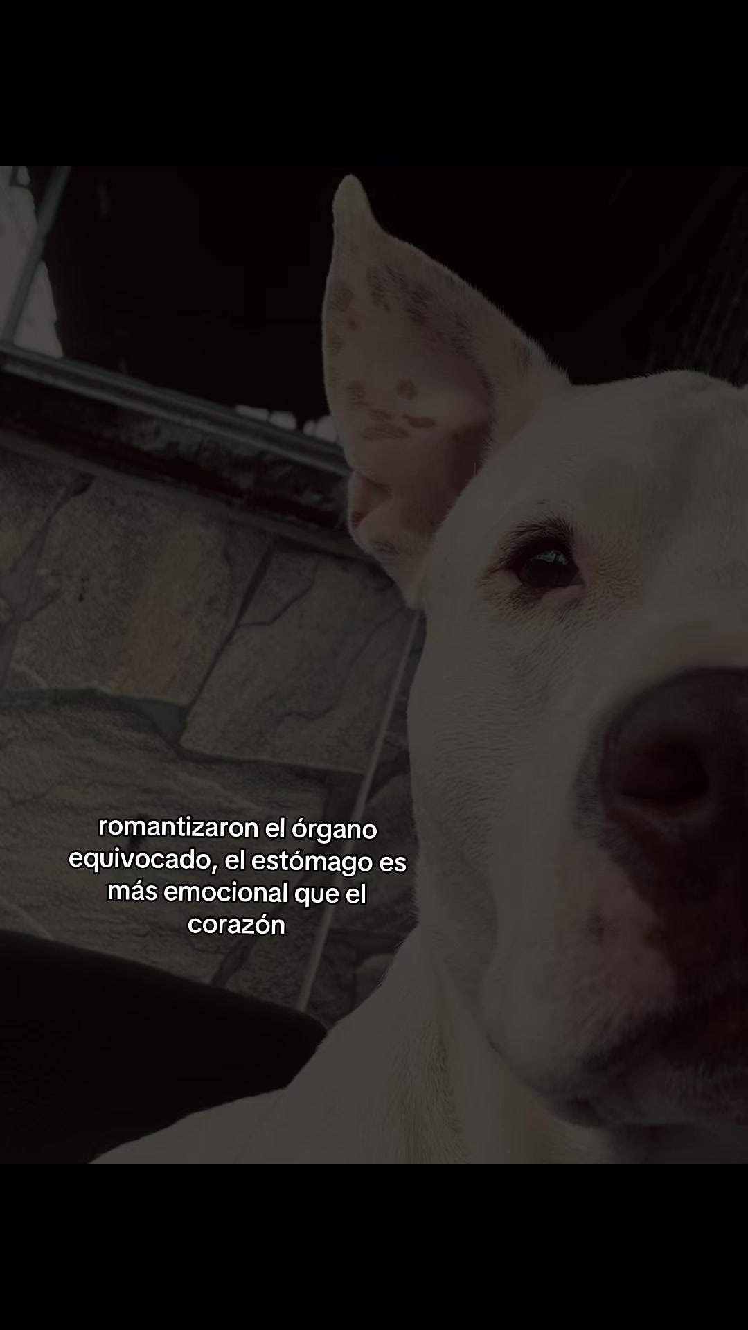 @SARACAMILA5_💜
