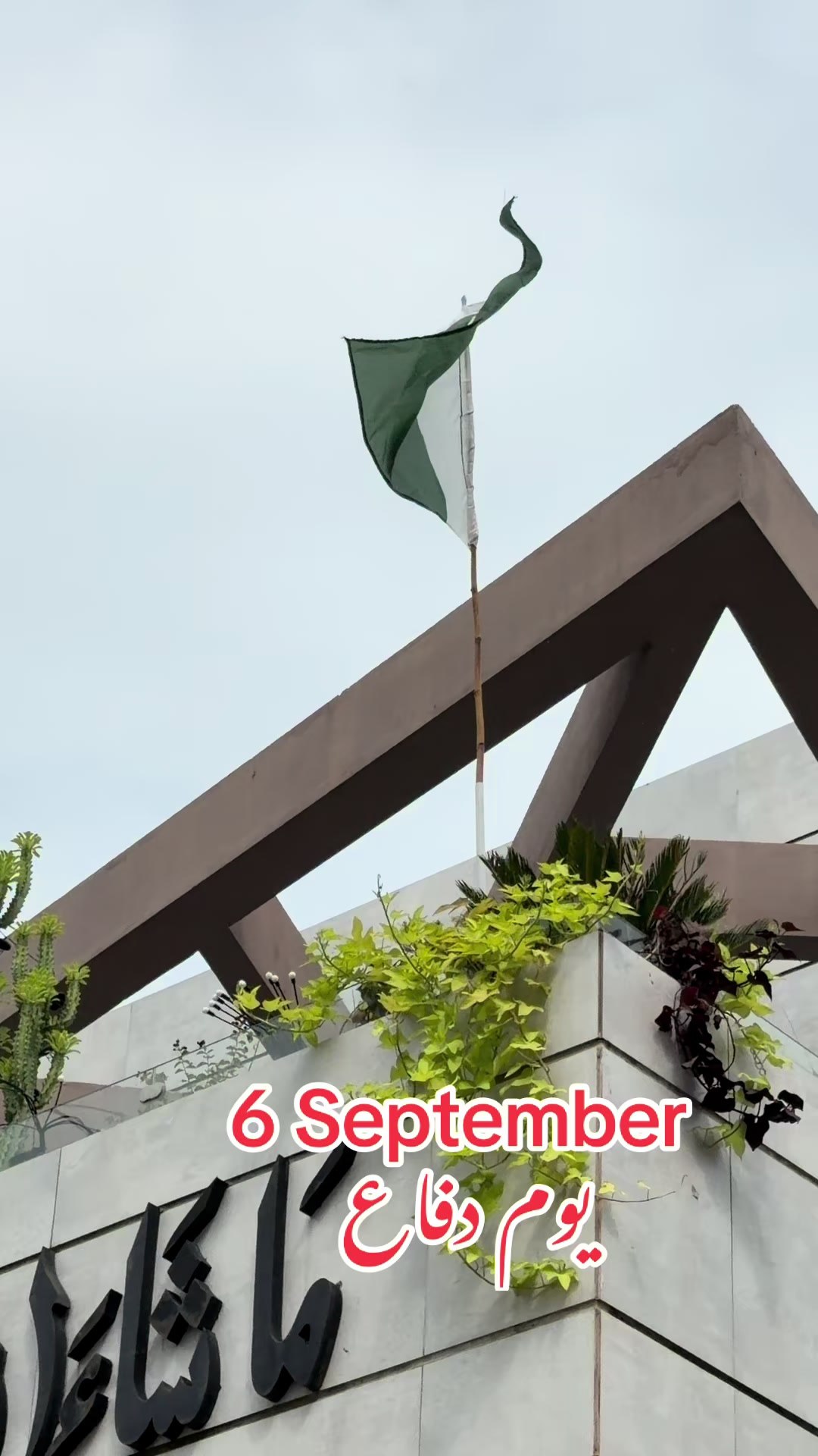@drmujahid mughal