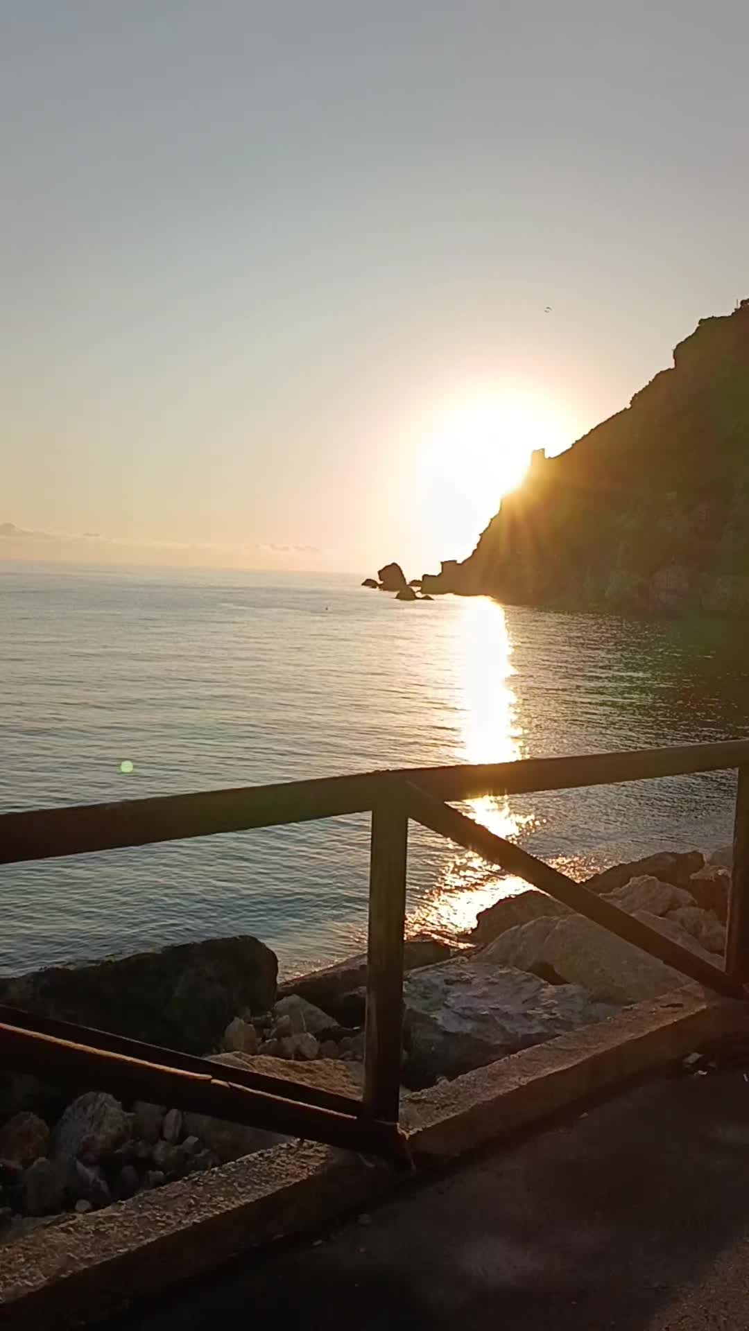 @𝘔𝘰𝘯𝘪𝘢 𝘈𝘷𝘰𝘭𝘪𝘰
