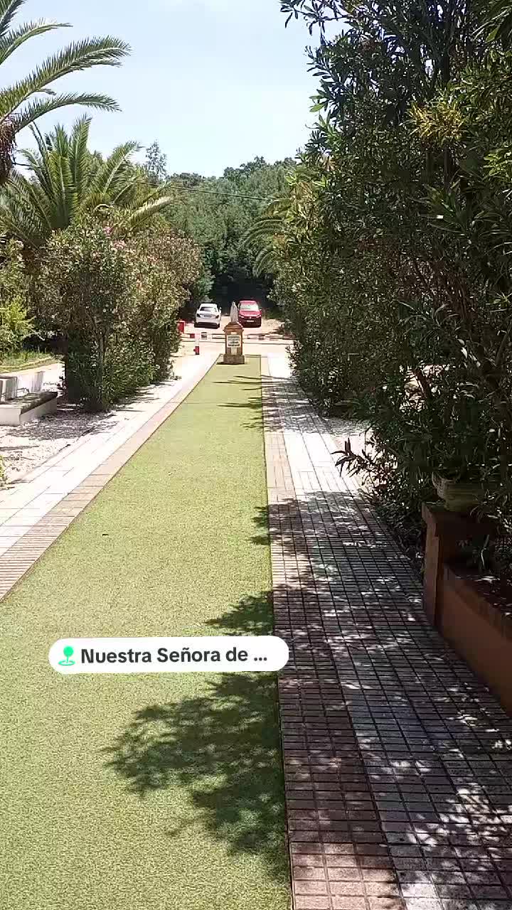 @sp15bjj