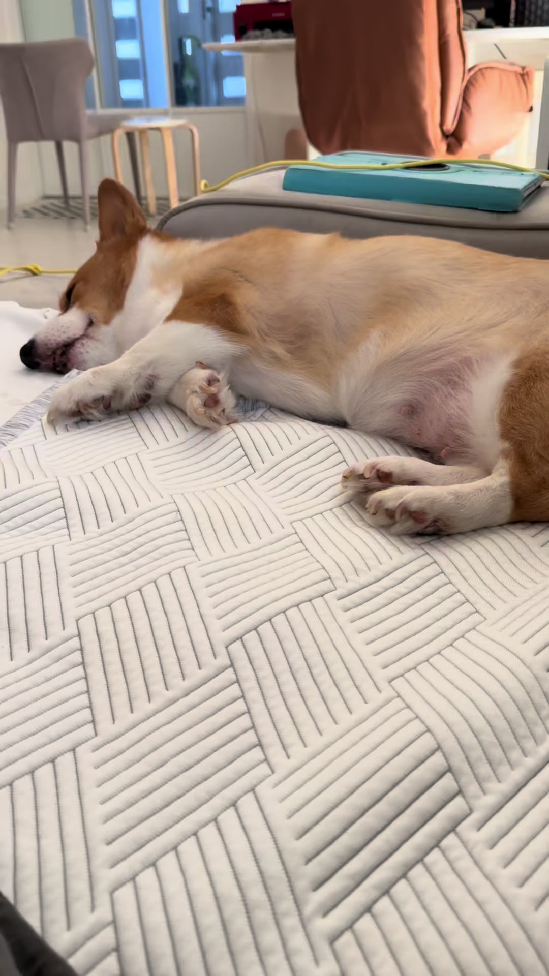 @🍒앤트🍒ANT_BARBER💈KOREA🇰🇷