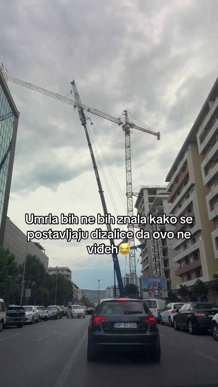 @Chikorita