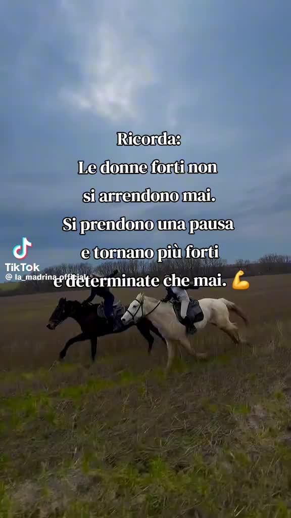 @✝️ TULIPANO DI ALICE ✝️💜🌷