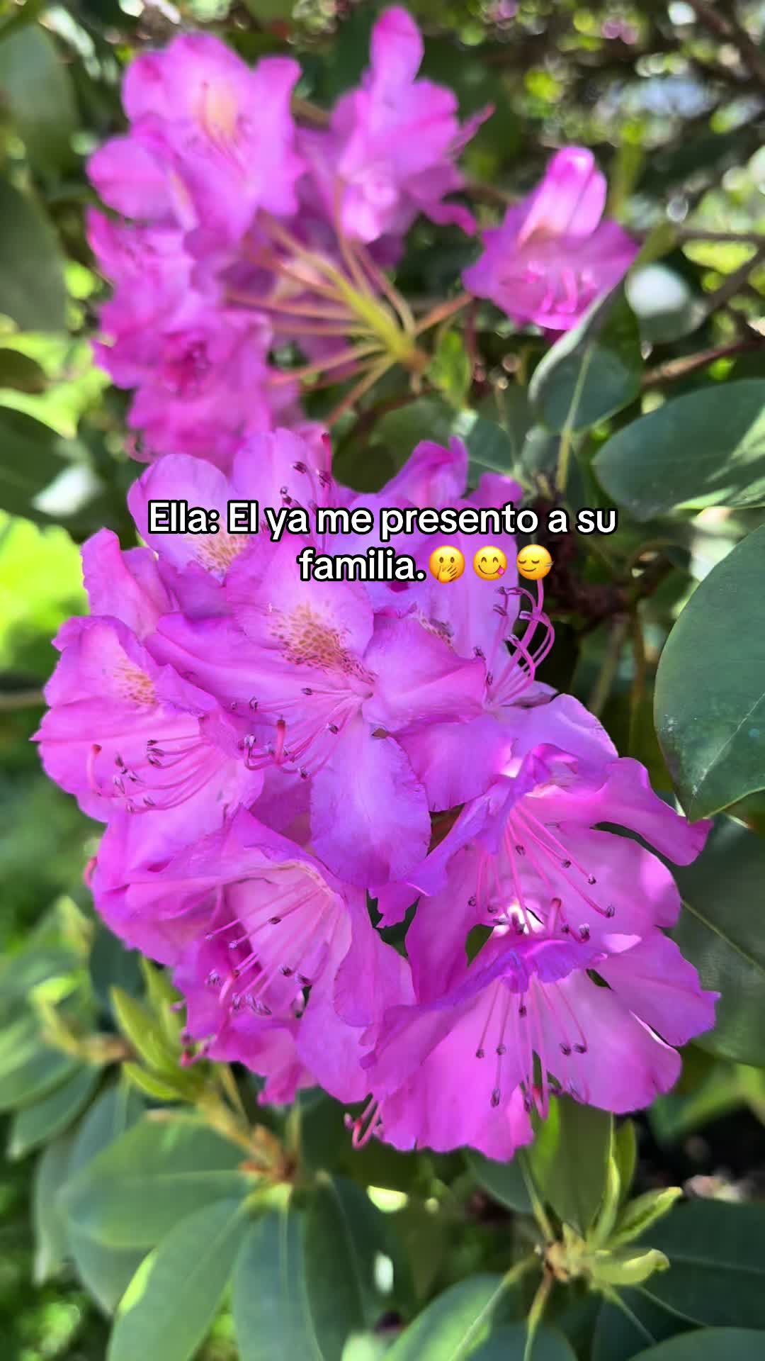 @Melany🎀