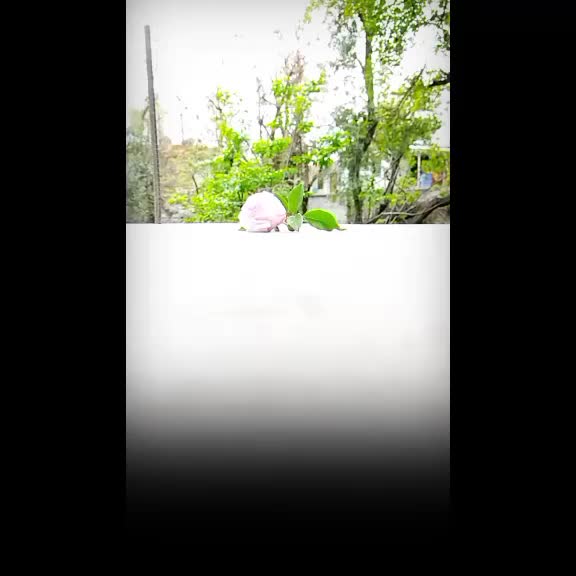 @Samiaعبّاسی