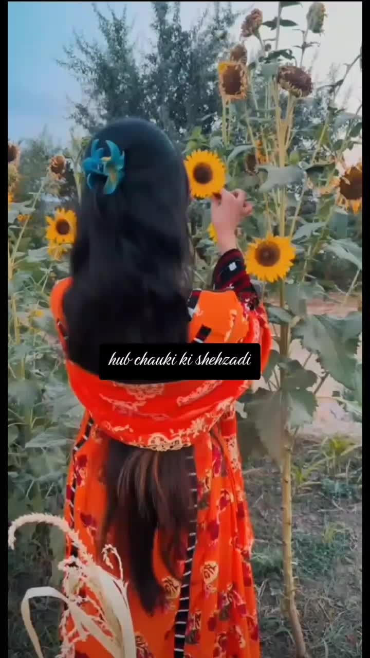 @Hub chauki ki👑 shehzadi 👑