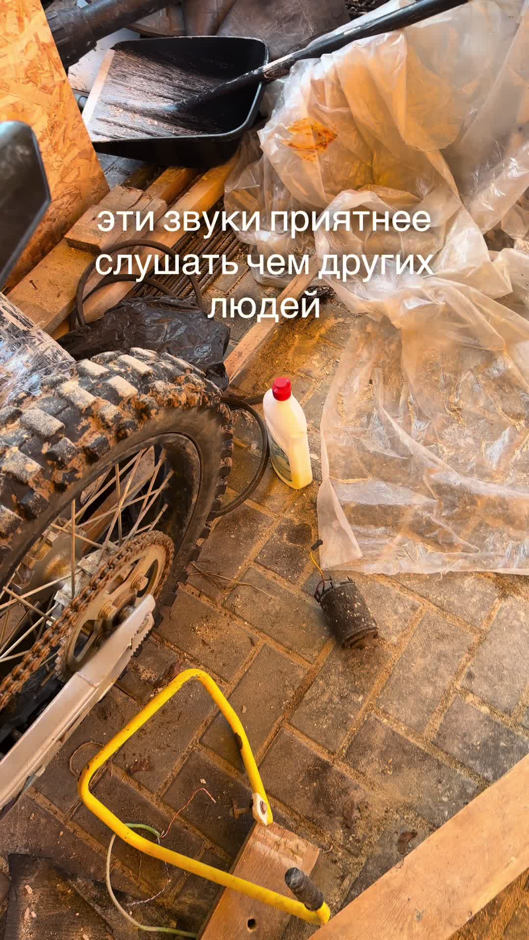 @shershaviy_hyu