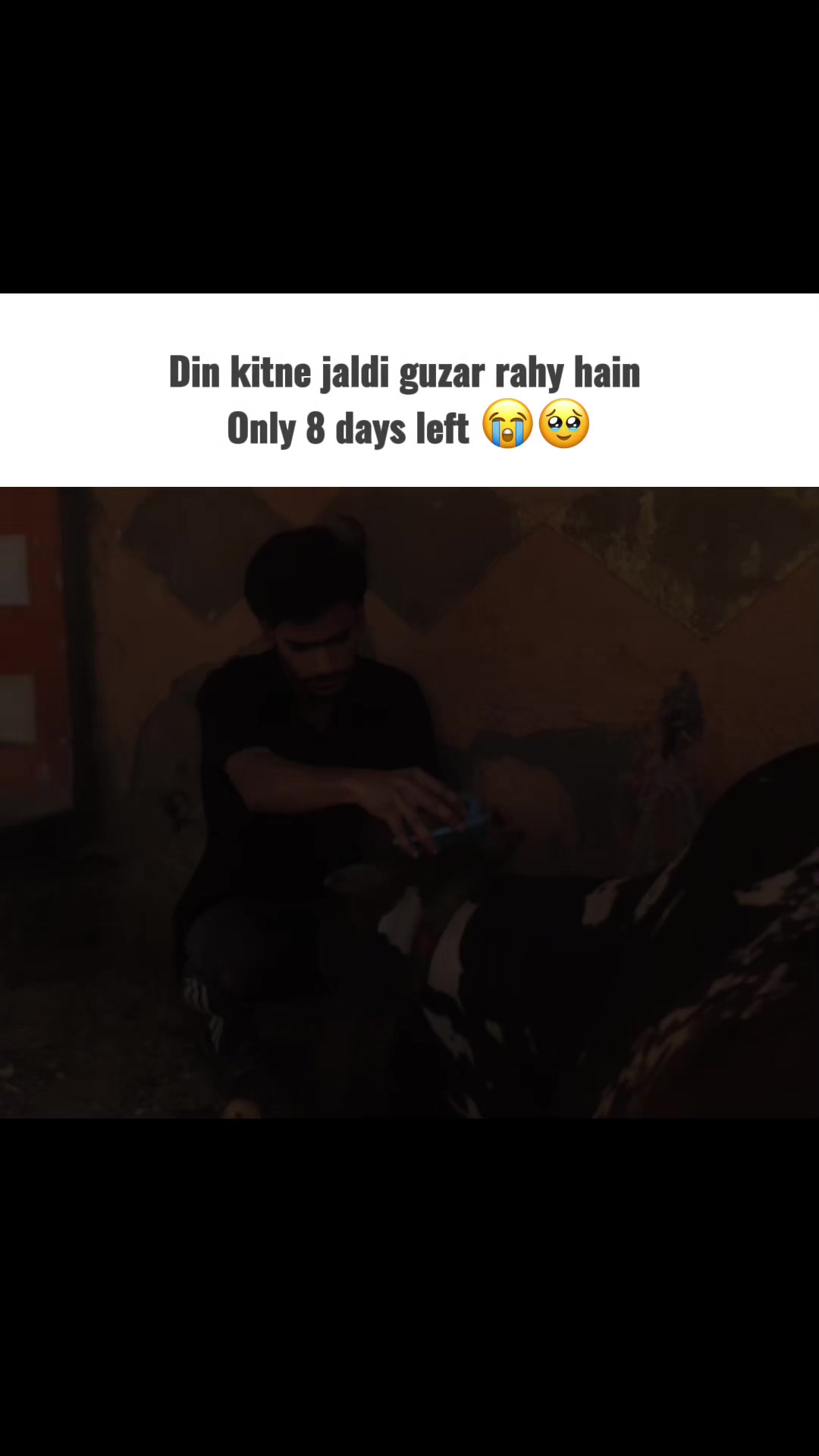 @Cattle_Guy’s