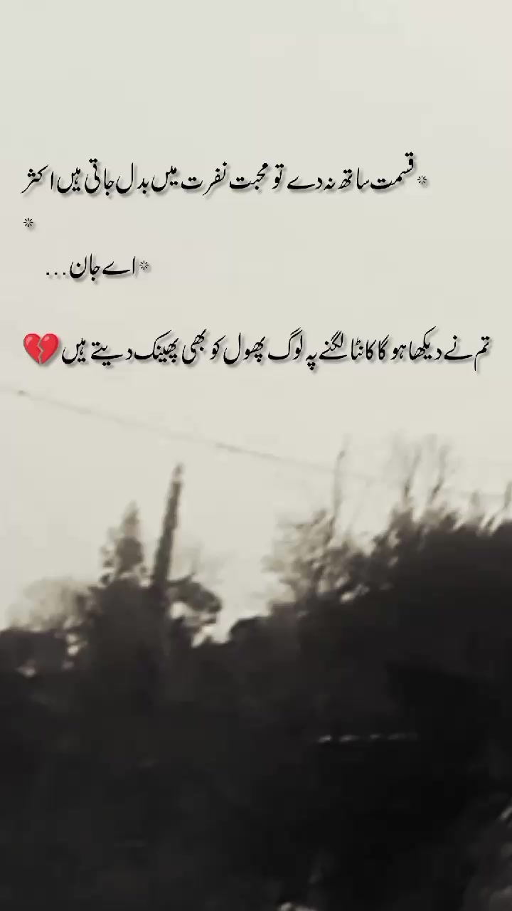 @🦅کشمیری رائٹس 🍁(◕‿-)