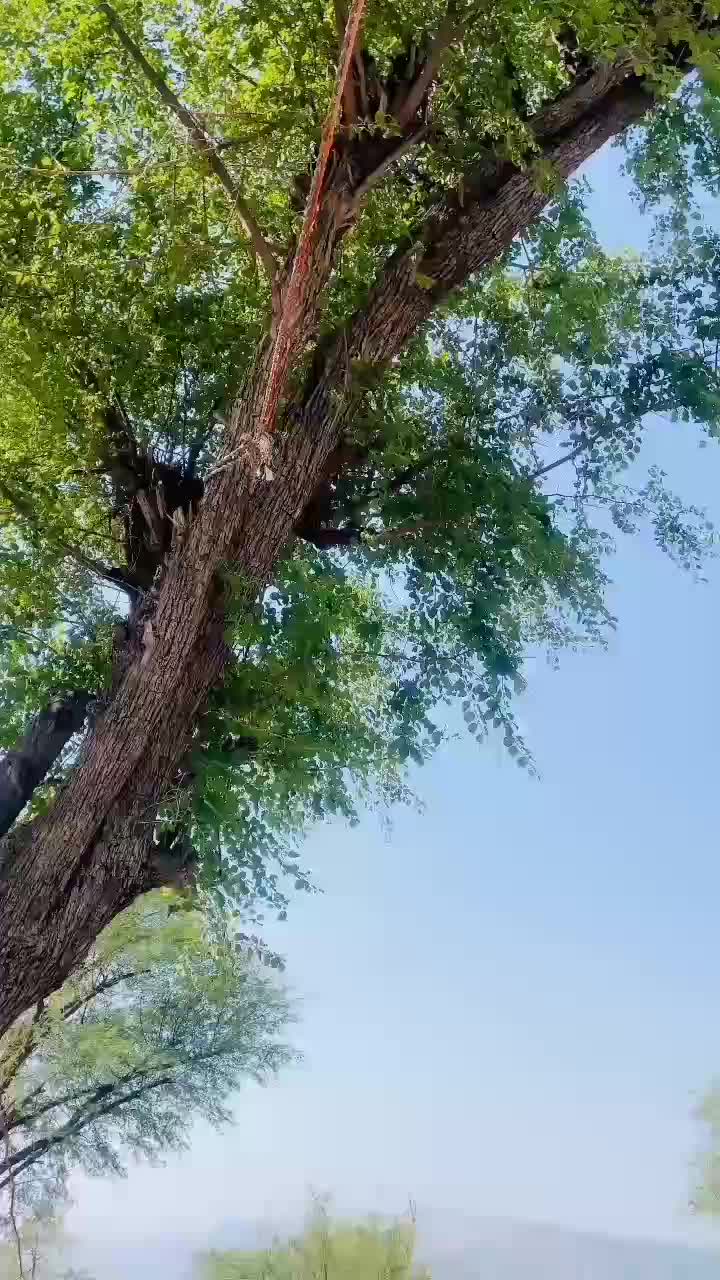@احمد خان 🚩