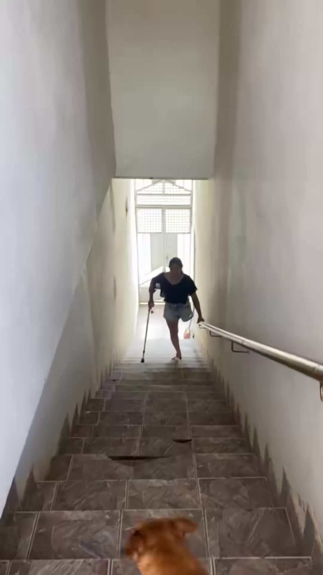 @Joaquín Dominguez