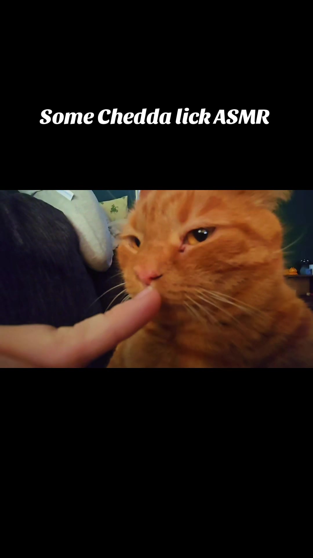 @Terabyte