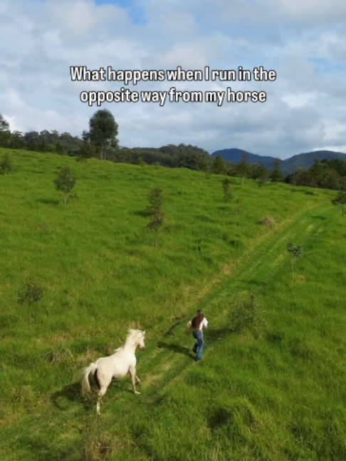 @Myhorsewillow