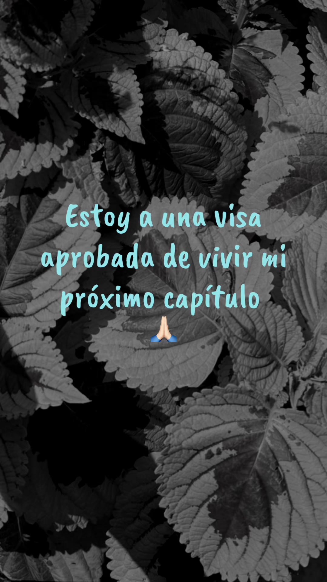 @CorporativoMigratorioGutierrez