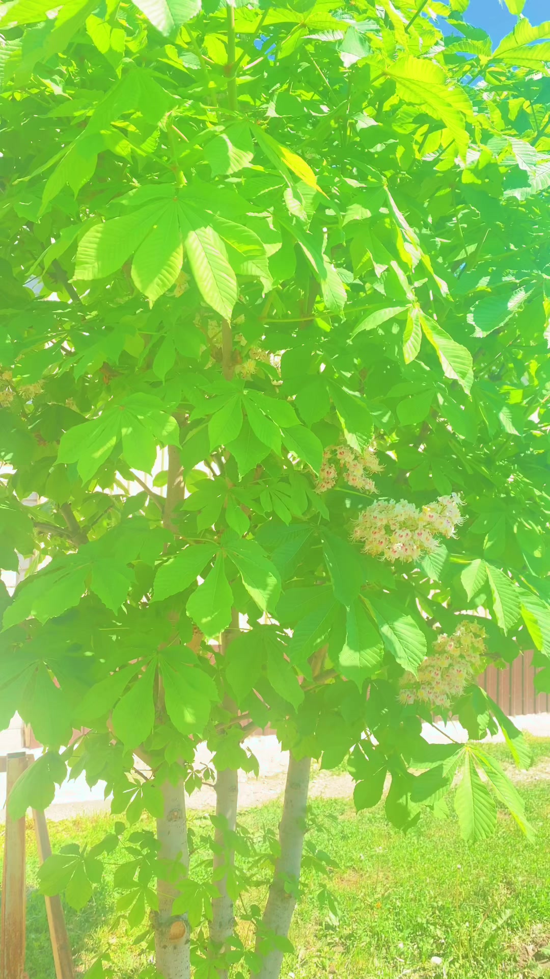 @Юлия Слепкова