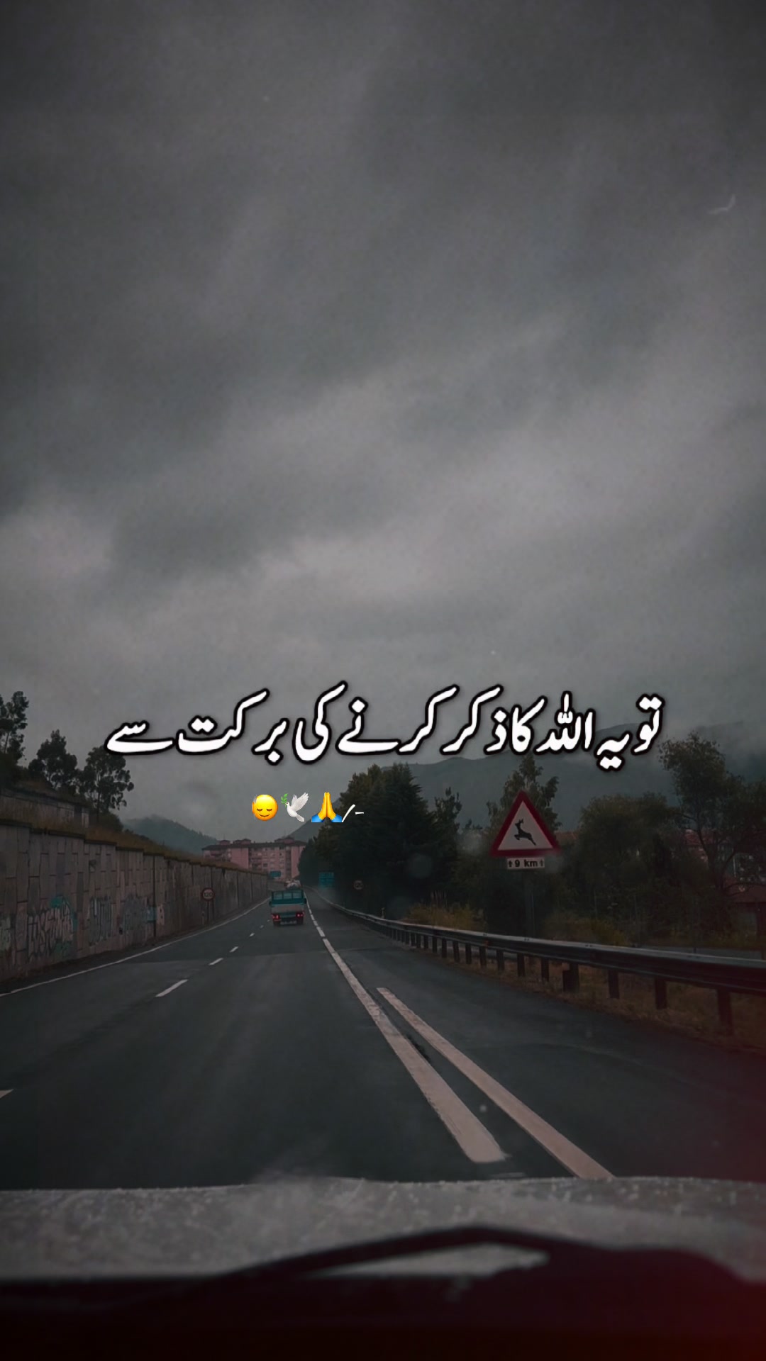 @Dr Sana 4696