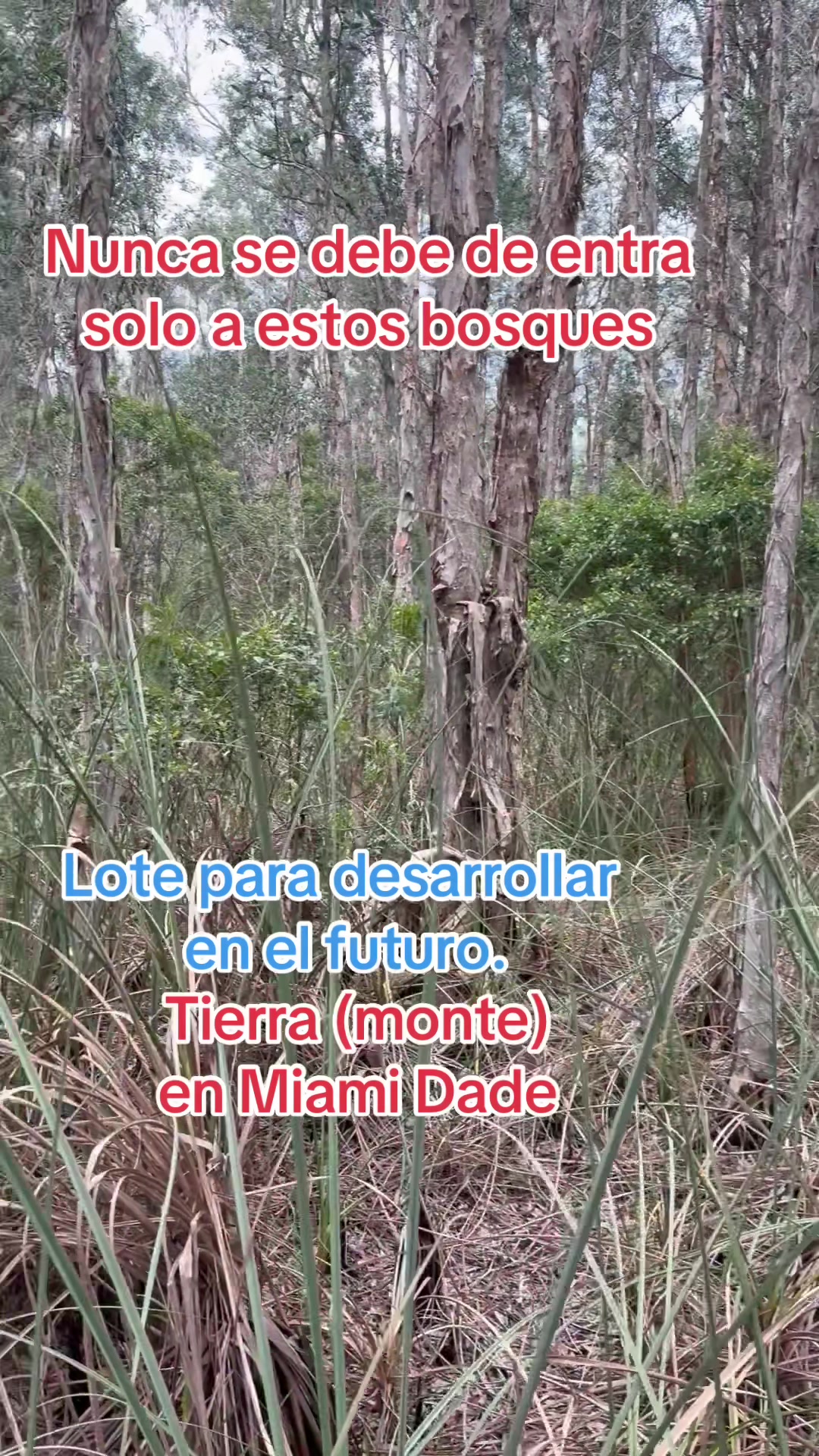 @Florida Land Guy