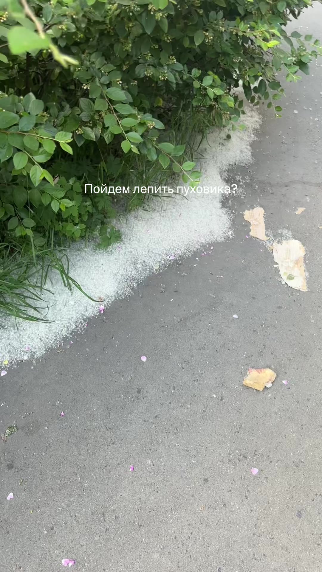 @Не Алина❗️