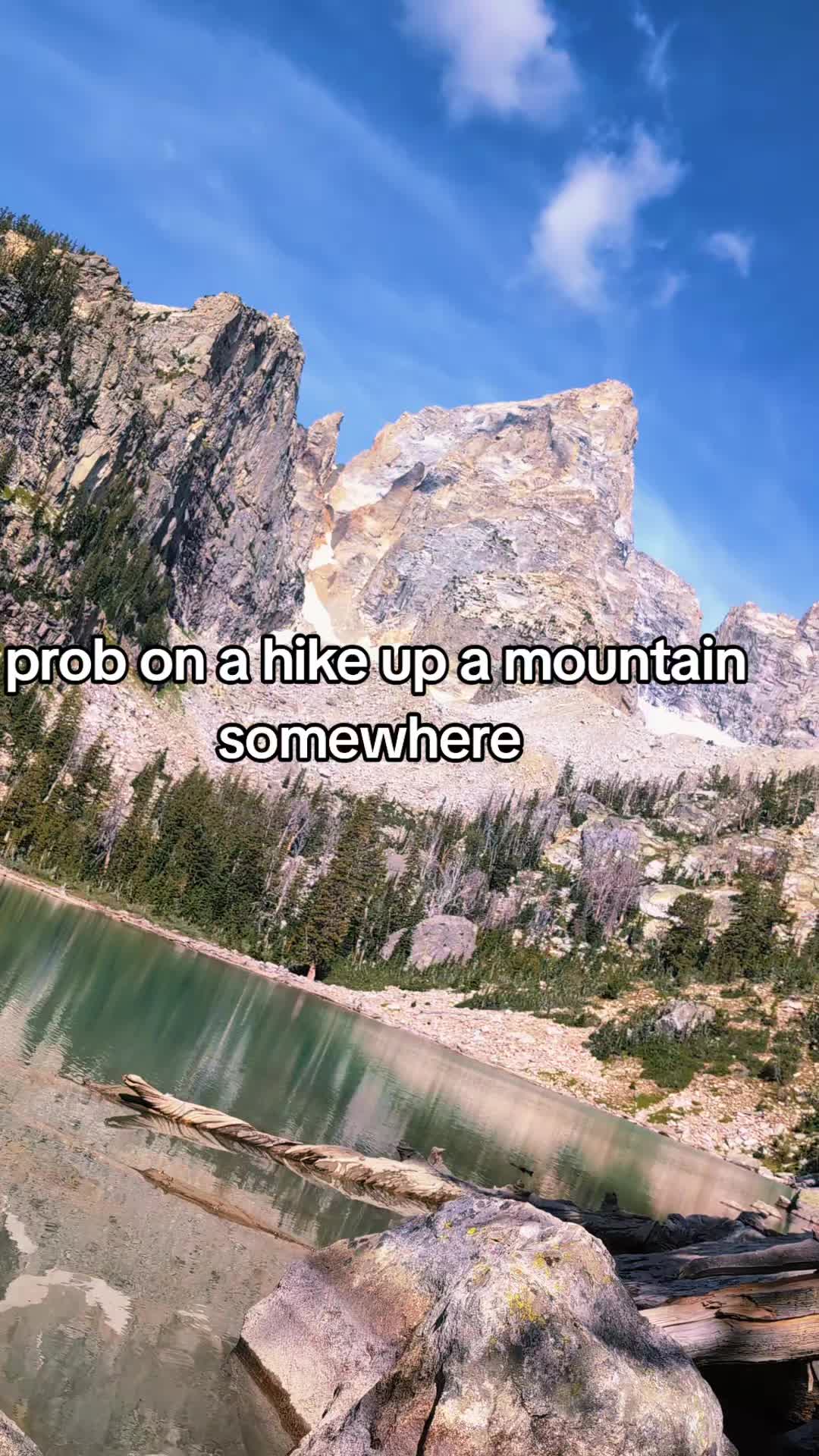 @🏕️Wandering Wildflower🏵️