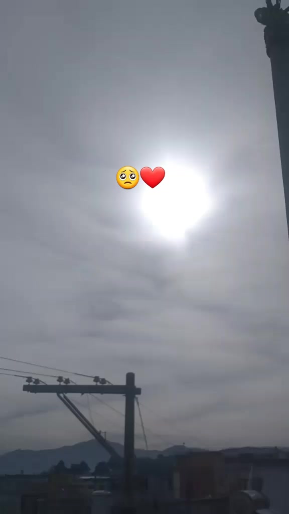 @🌼🌹fłőř🌺🌼