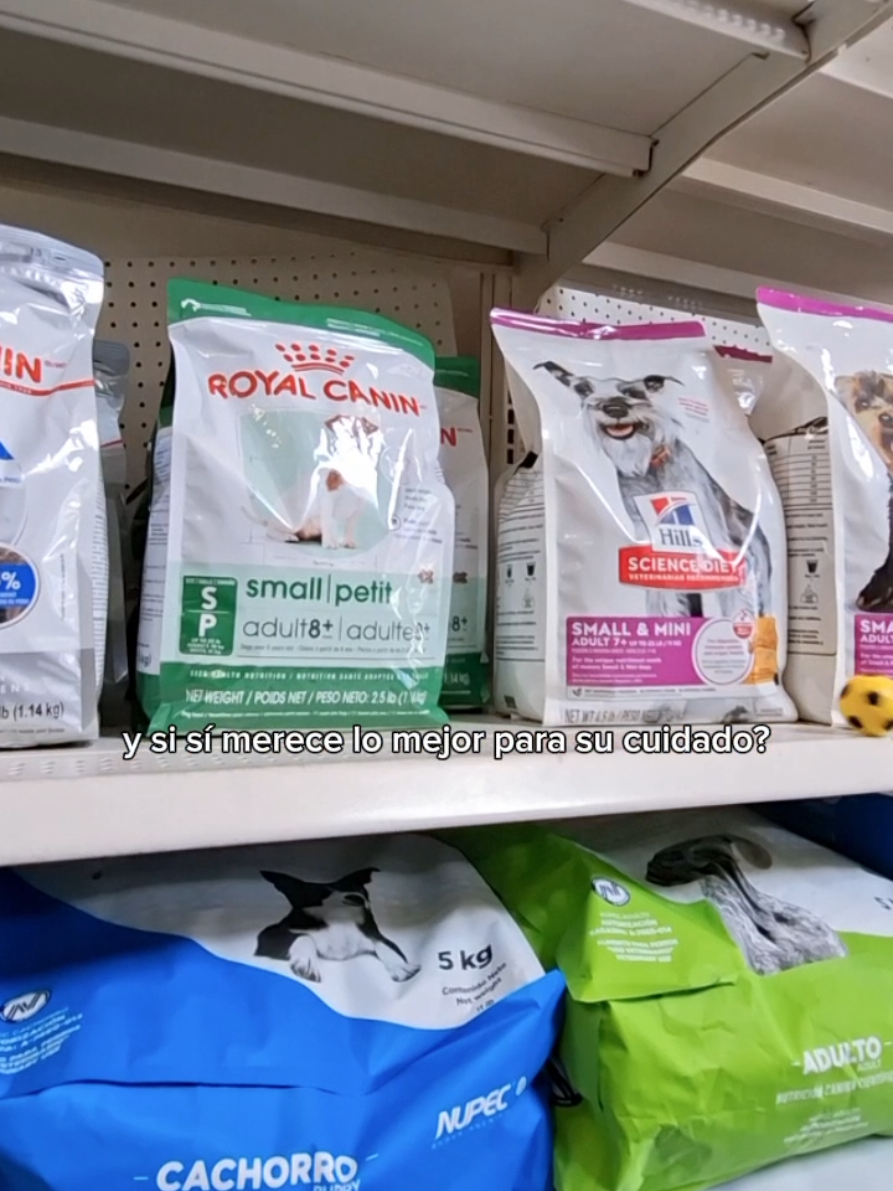 @Perrunos Veterinaria