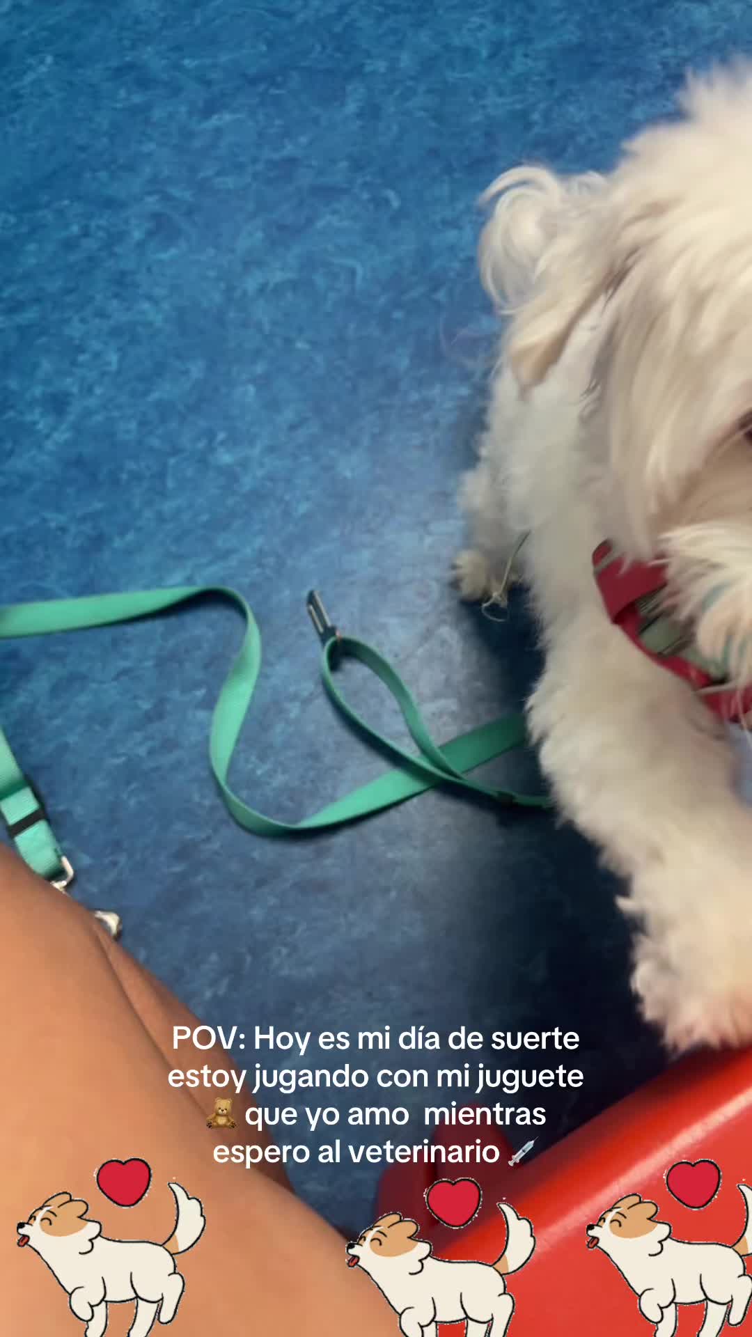 @los3huevertos