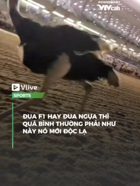 @Vlive Sports