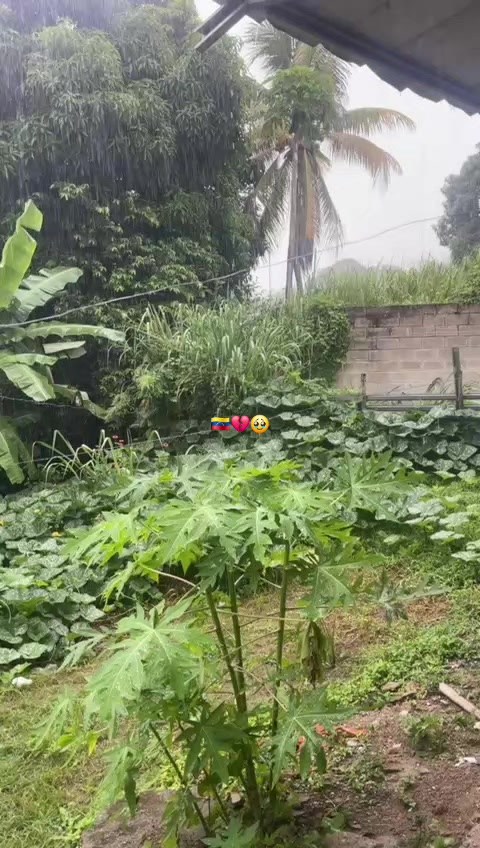 @LlaneritaOficial