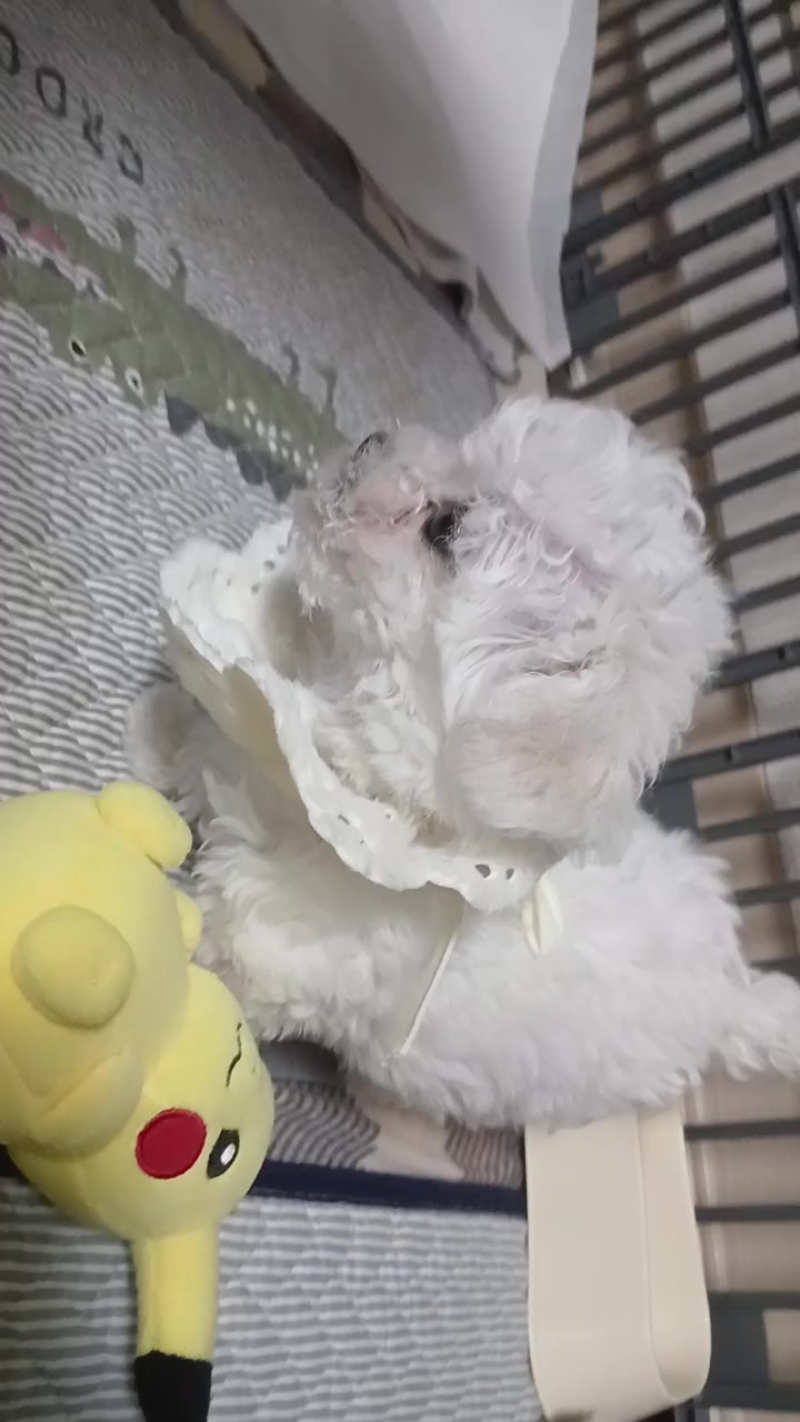 @๐ดโ ๏ธ๋ฌ๋จธ๋๐ดโ ๏ธ