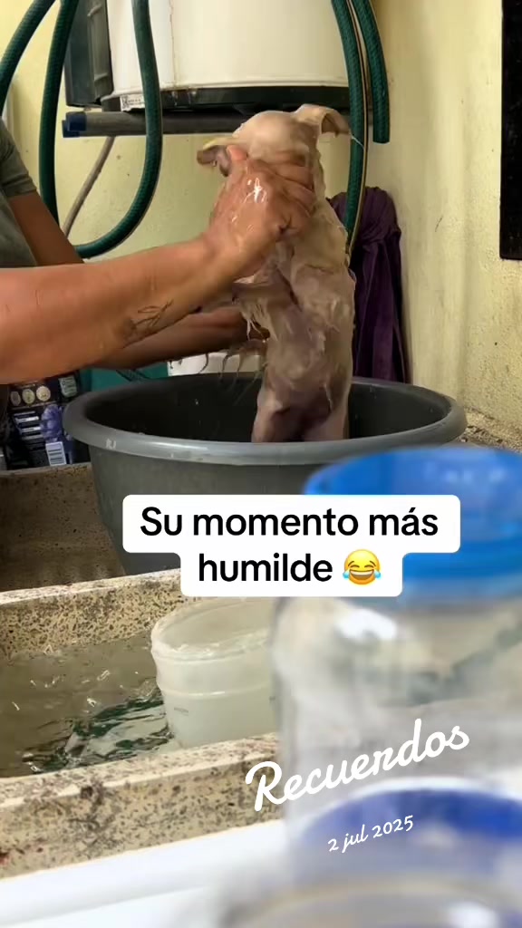 @ALE GUEDEA