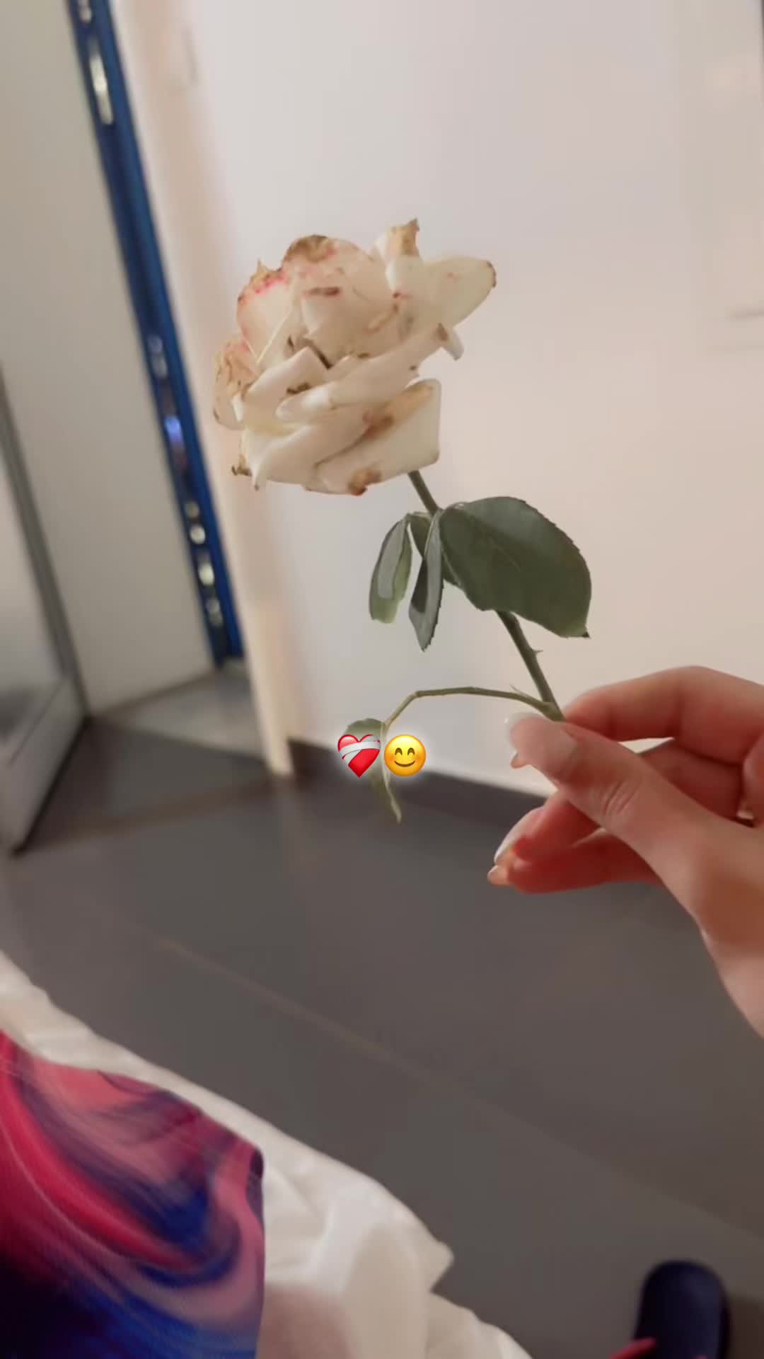 @Ayline