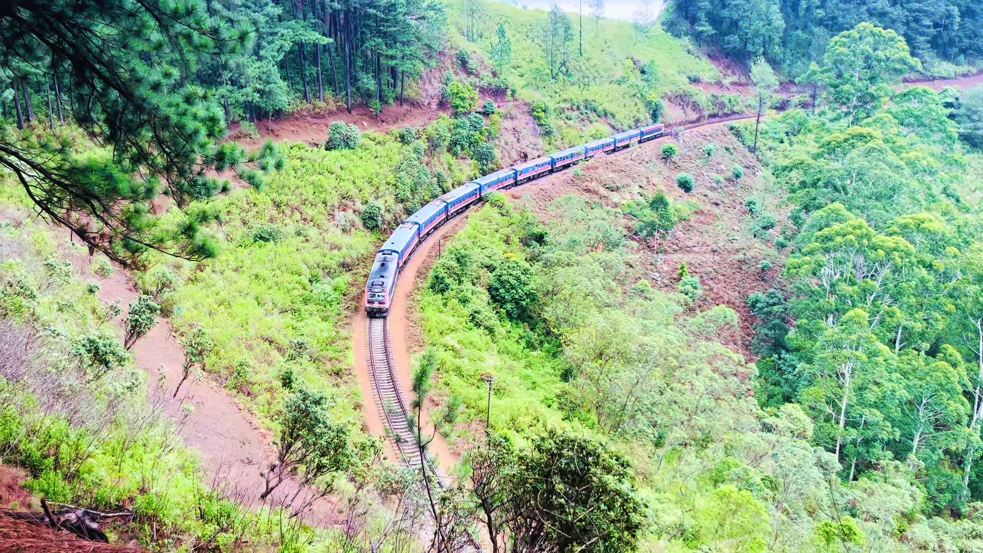 @Tharusha Diroshana