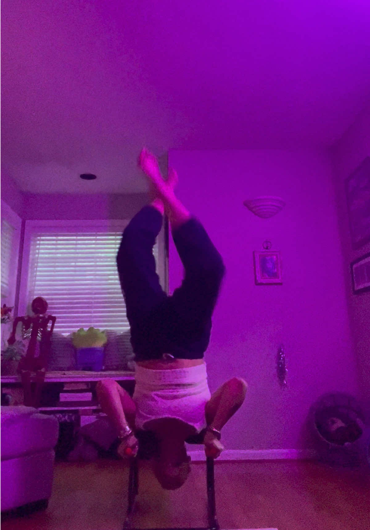 @gardengirl8440