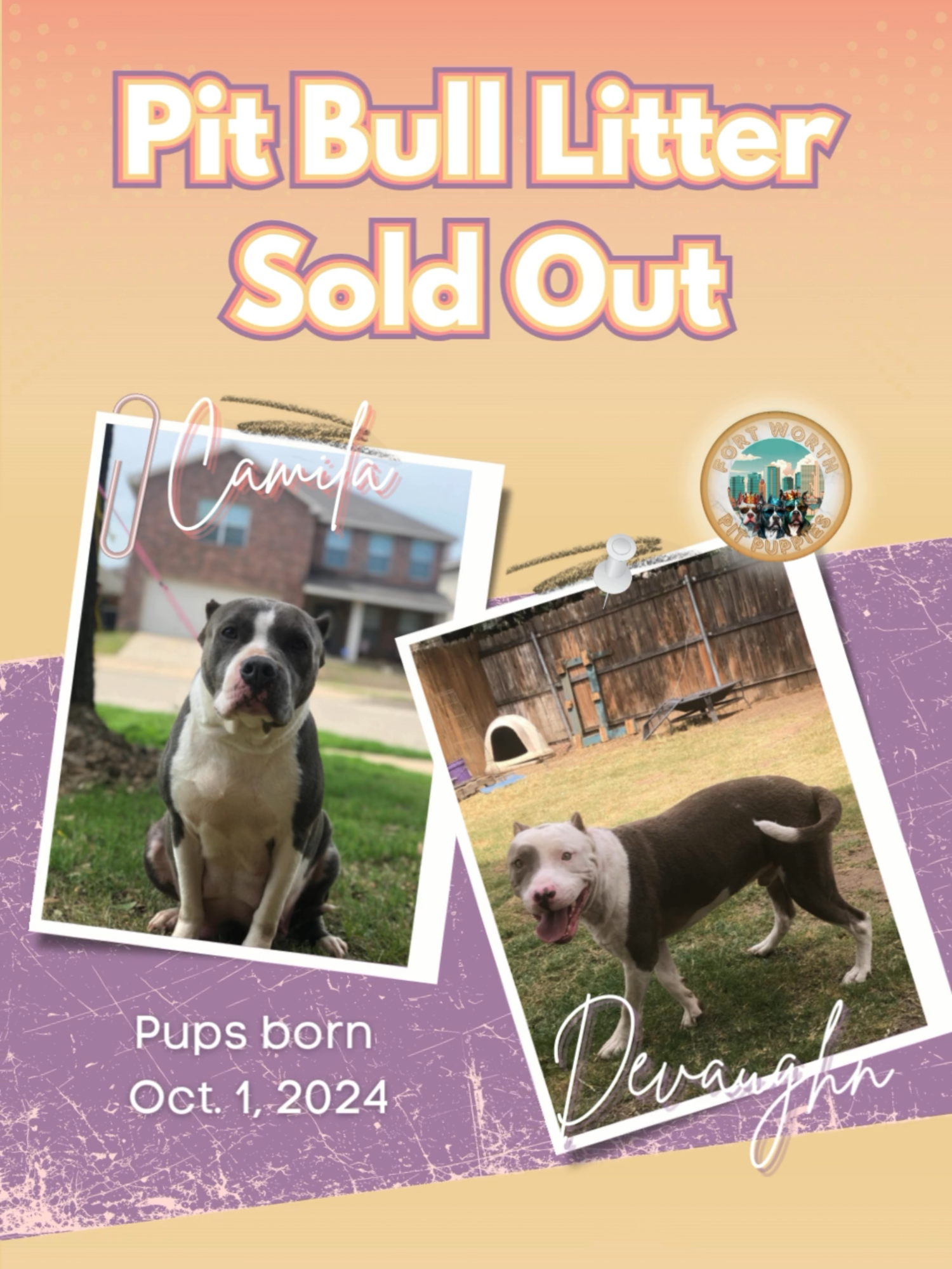 @Fort Worth Pit Puppies