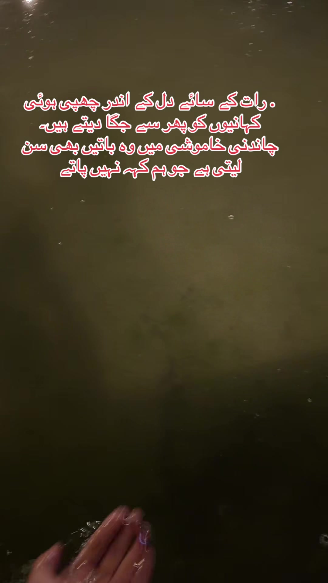 @🥀Zeeshan Kashmiri࿐🇺🇸